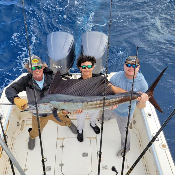 Sailfish sport fishing charter in Marathon, FL